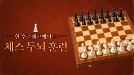 한 수로 체크메이트 체스 두뇌 훈련